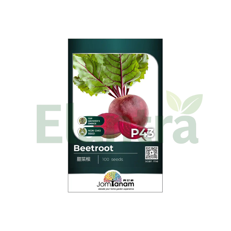 P43 BEETROOT